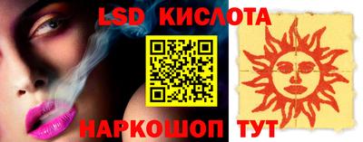 крисы Кингисепп