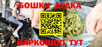 крисы Кингисепп