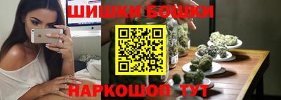 крисы Кингисепп