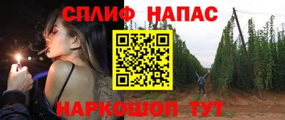крисы Кингисепп