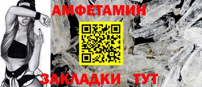 крисы Кингисепп