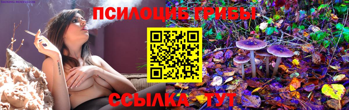 Псилоцибиновые грибы мухоморы Курганинск